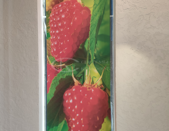 Порфолио Рулонные шторы Мини