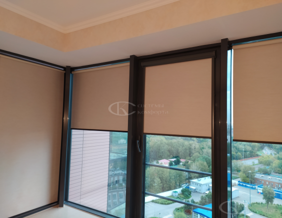 Порфолио Рулонные шторы Мини